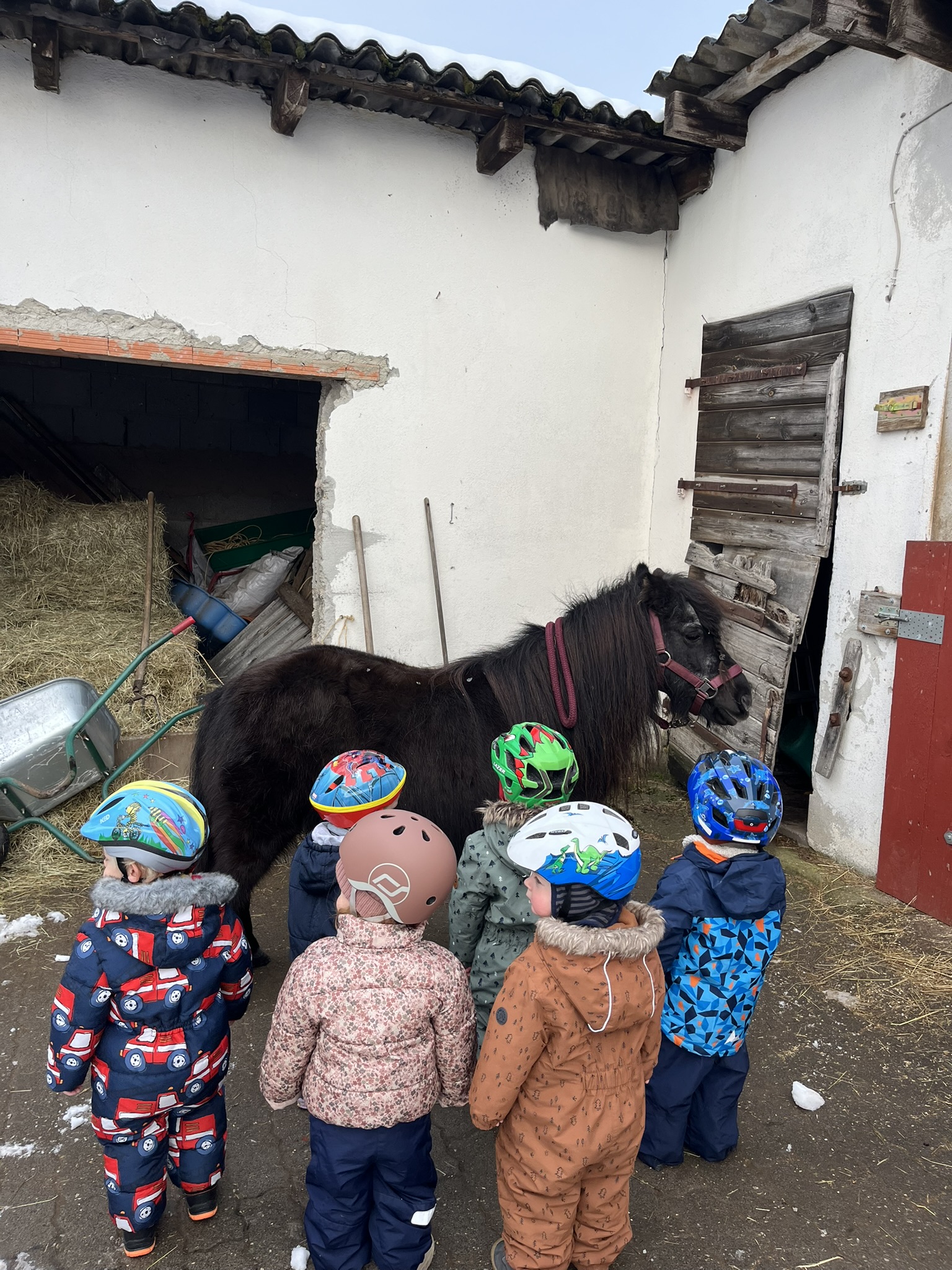 Ponybesuch